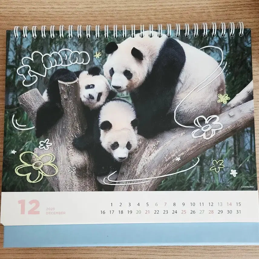 [BUNJANG] Bao Family 2025 Calendar / 바오패밀리 2025 달력