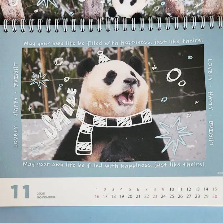 [BUNJANG] Bao Family 2025 Calendar / 바오패밀리 2025 달력