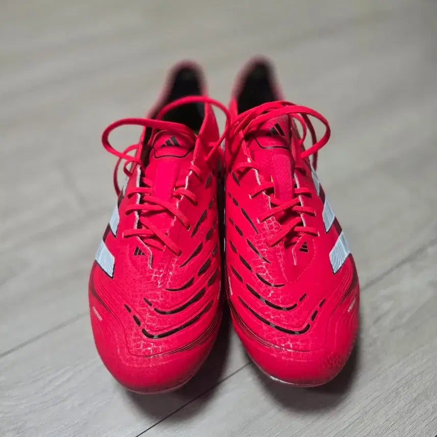 [BUNJANG] Adidas Predator Elite FG 260 / 아디다스 프레데터 엘리트 fg 260