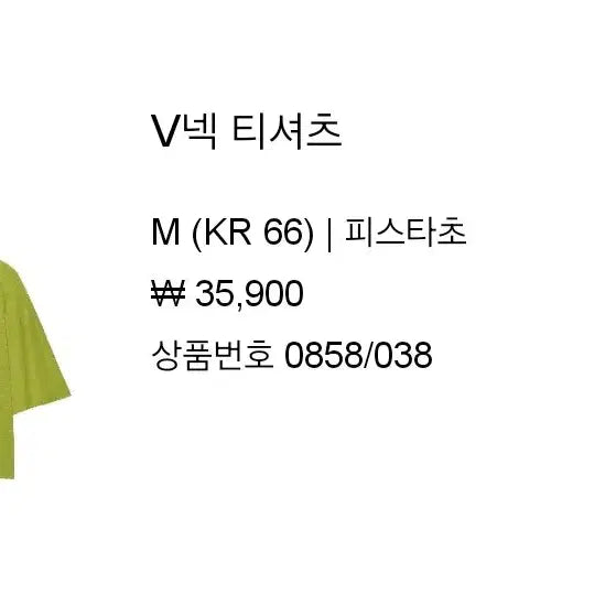 [BUNJANG] Zara V-Neck T-Shirt - Pistachio, M / zara 자라 브이넥 티셔츠 - 피스타치오,M