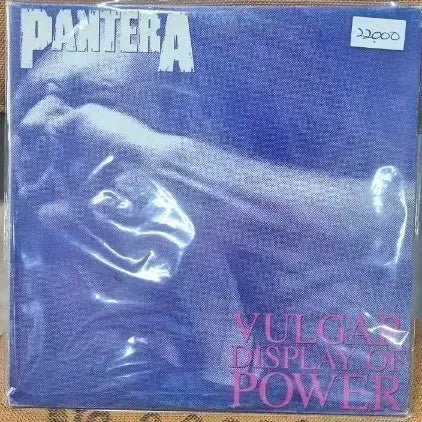 [BUNJANG] Pantera Vulgar Display of Power LP Vinyl Record / pantera Vulgar Display of Power LP