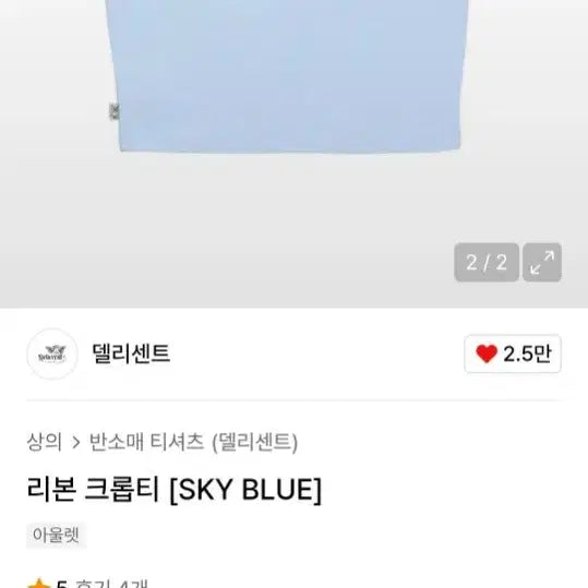 [BUNJANG] Deliccent Sky Blue Ribbon Crop Top / 리본 크롭티(sky blue)