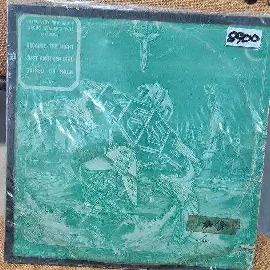 [BUNJANG] The Final Frontier LP Vinyl Record / The Final Frontier keel  LP