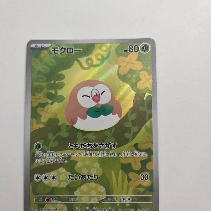 [SOLD OUT] (일본판) 나몰빼미 포켓몬 카드