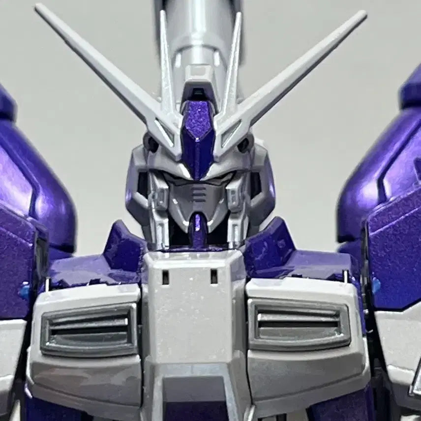 [BUNJANG] Rg Hi-Nu EGS Coating (Purple) Assembled Model / Rg하이뉴 사제코팅 (보라색코팅) 가조립