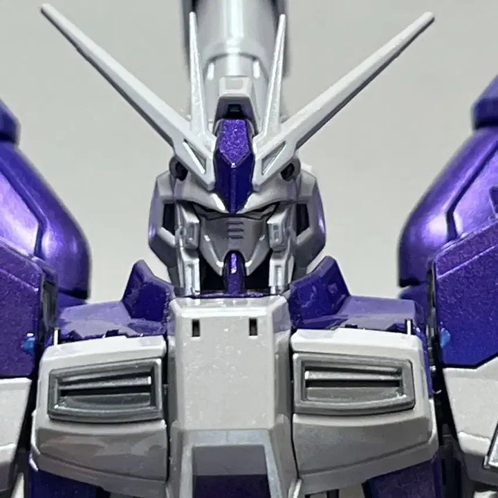 [BUNJANG] Rg Hi-Nu EGS Coating (Purple) Assembled Model / Rg하이뉴 사제코팅 (보라색코팅) 가조립