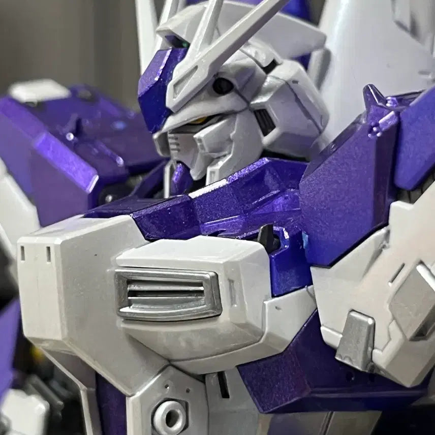 [BUNJANG] Rg Hi-Nu EGS Coating (Purple) Assembled Model / Rg하이뉴 사제코팅 (보라색코팅) 가조립