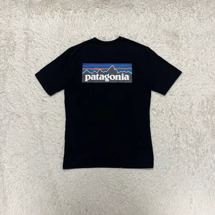 [SOLD OUT] 파타고니아 반팔