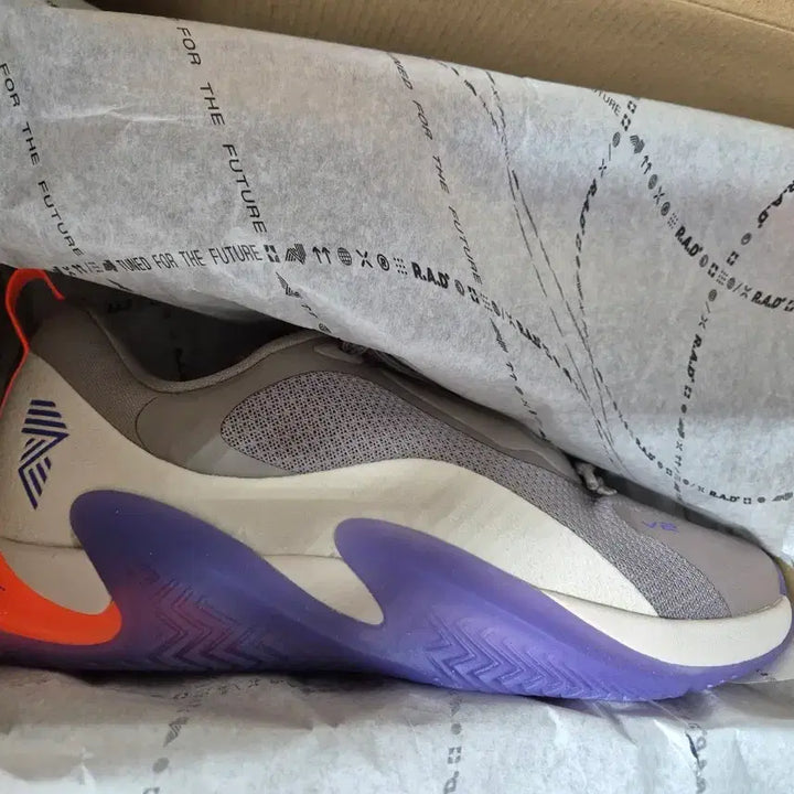 [BUNJANG] RAD ONE Crossfit Games Trainer Cinder Purple Training Shoes / [265] RAD ONE 라드원 크로스핏 게임즈 트레이너 RAD ONE