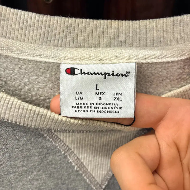 [BUNJANG] Champion Originals Disneyland Two-Tone Ringer Sweatshirt / 챔피온 오리지널스 디즈니랜드 투톤 링거 스웻셔츠 N1238