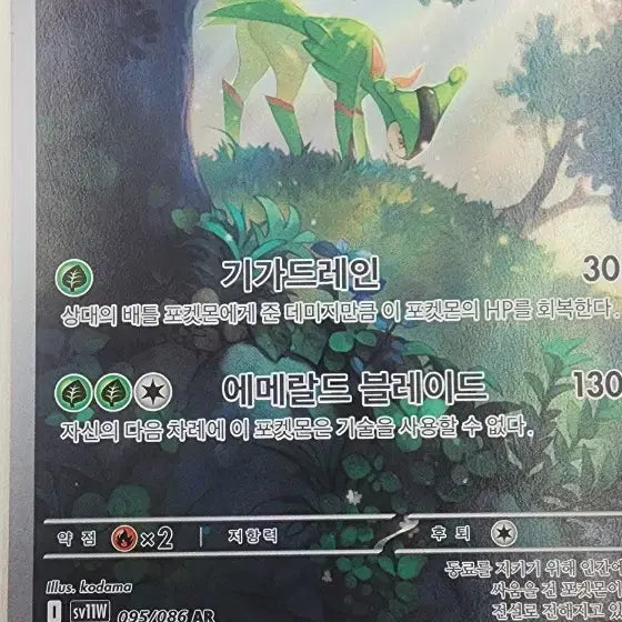 [SOLD OUT] 포켓몬카드