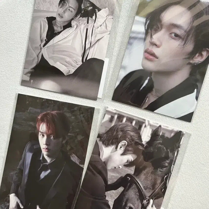 [BUNJANG] RIIZE Shotaro, Wonbin Fame Exhibition Postcard Bundle Set / 라이즈 성찬, 원빈 fame 전시회 엽서 4장 일괄