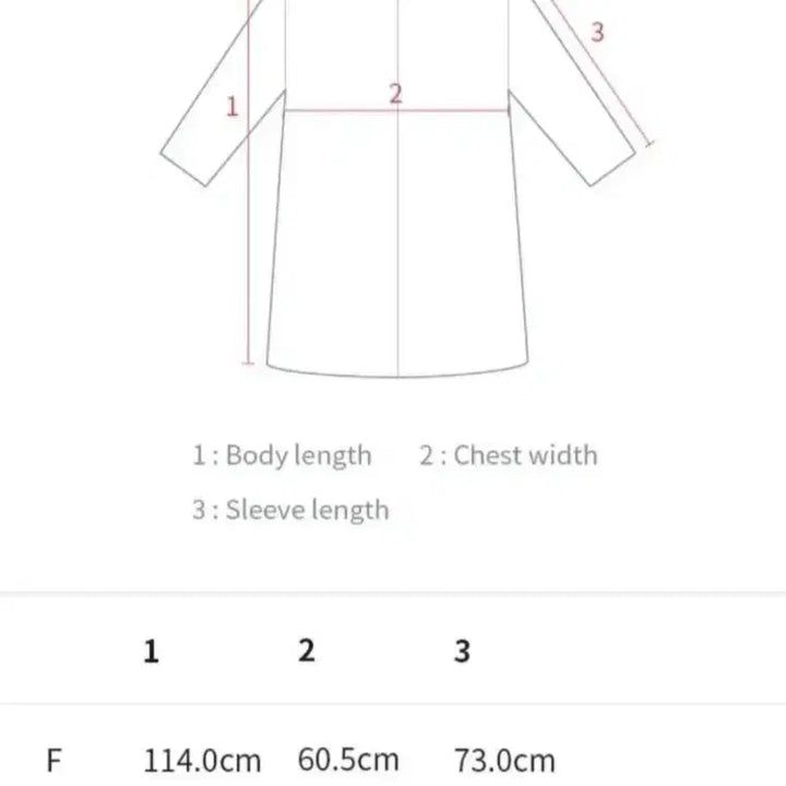 [BUNJANG] BTS RM Raincoat / 방탄 RM 김남준 우비 (레인코트)