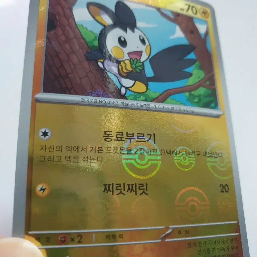 [BUNJANG] 에몽가 몬스터볼 포켓몬카드 / 에몽가 몬스터볼 포켓몬카드