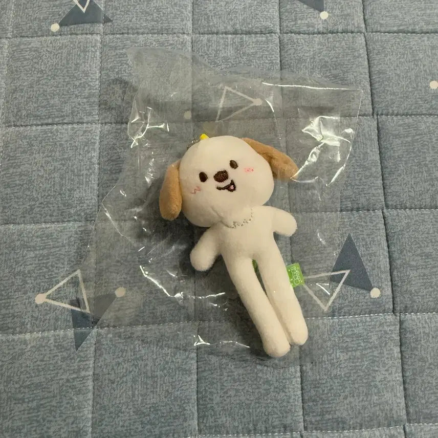 [SOLD OUT] 라이즈 앤톤 롱다리 멍룡이 엠디 md 인형