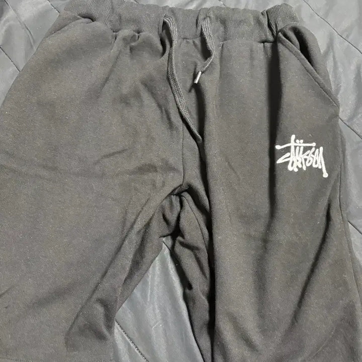 [BUNJANG] Stussy Shorts / 스투시 반바지