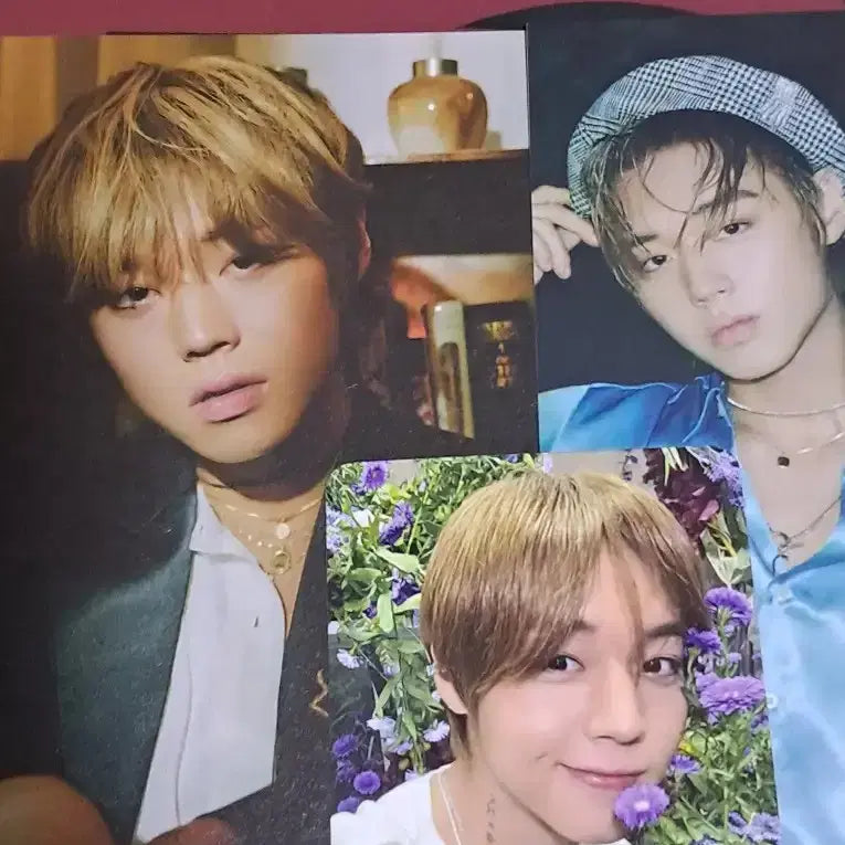 [SOLD OUT] 박지훈 미니 5집 앨범