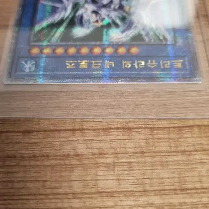 [BUNJANG] 유희왕 트리슈라의 네크로즈 쿼시크 / 유희왕 트리슈라의 네크로즈 쿼시크