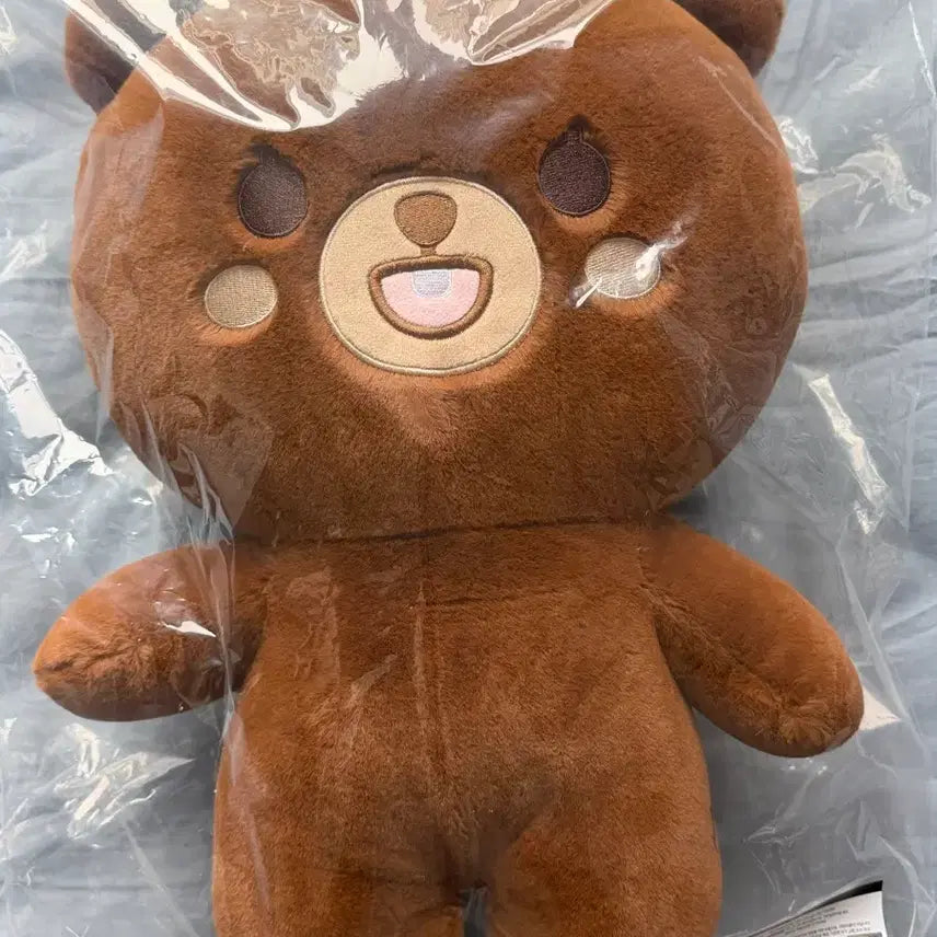 [SOLD OUT] (미개봉) 데이식스 자이언트 쁘멀 자쁘멀 성진 방 양도