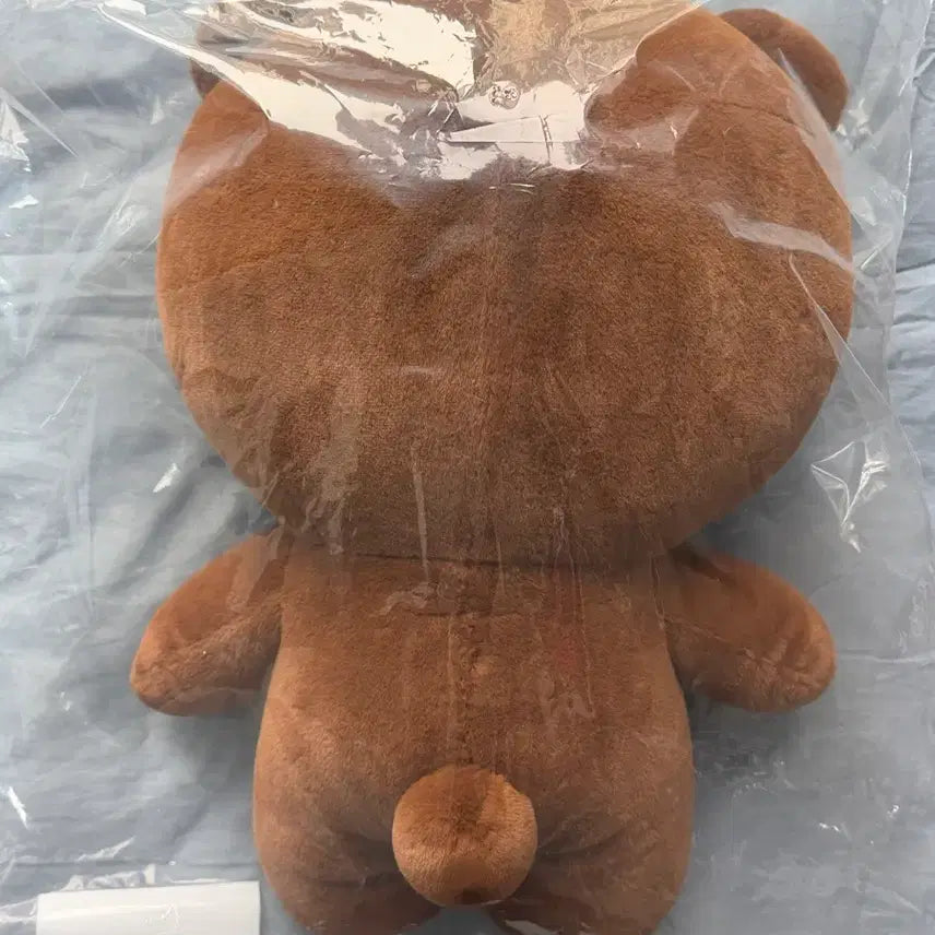 [SOLD OUT] (미개봉) 데이식스 자이언트 쁘멀 자쁘멀 성진 방 양도