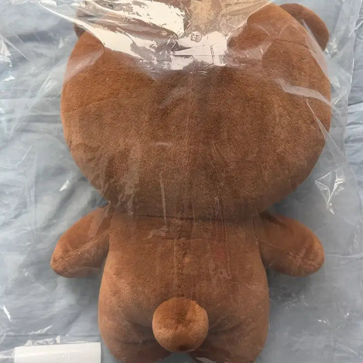 [SOLD OUT] (미개봉) 데이식스 자이언트 쁘멀 자쁘멀 성진 방 양도