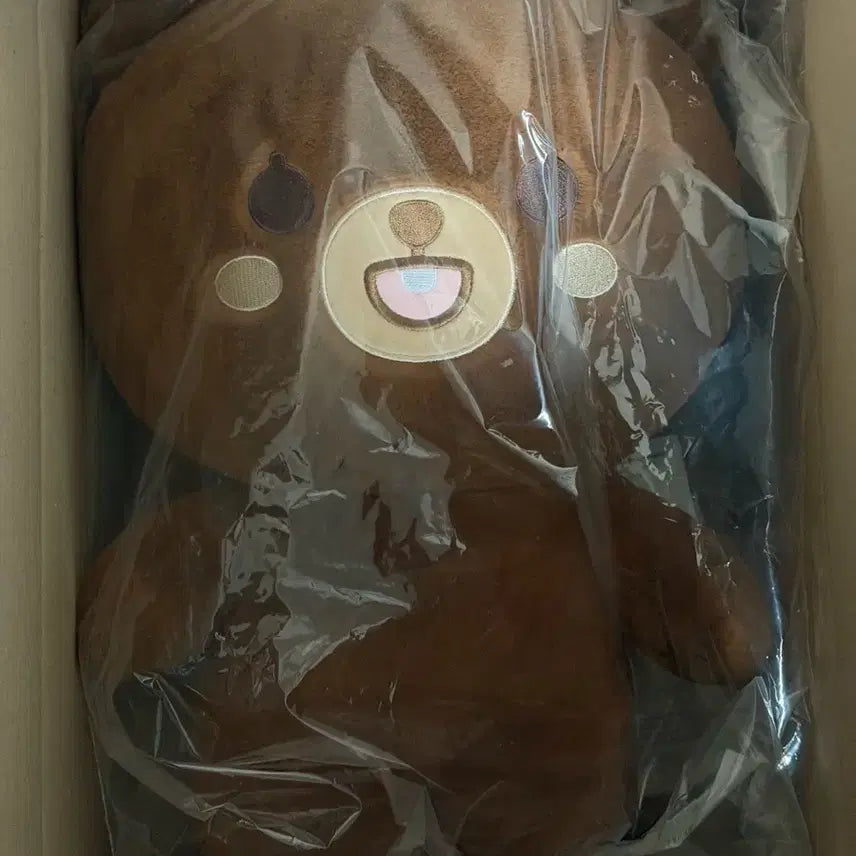 [SOLD OUT] (미개봉) 데이식스 자이언트 쁘멀 자쁘멀 성진 방 양도