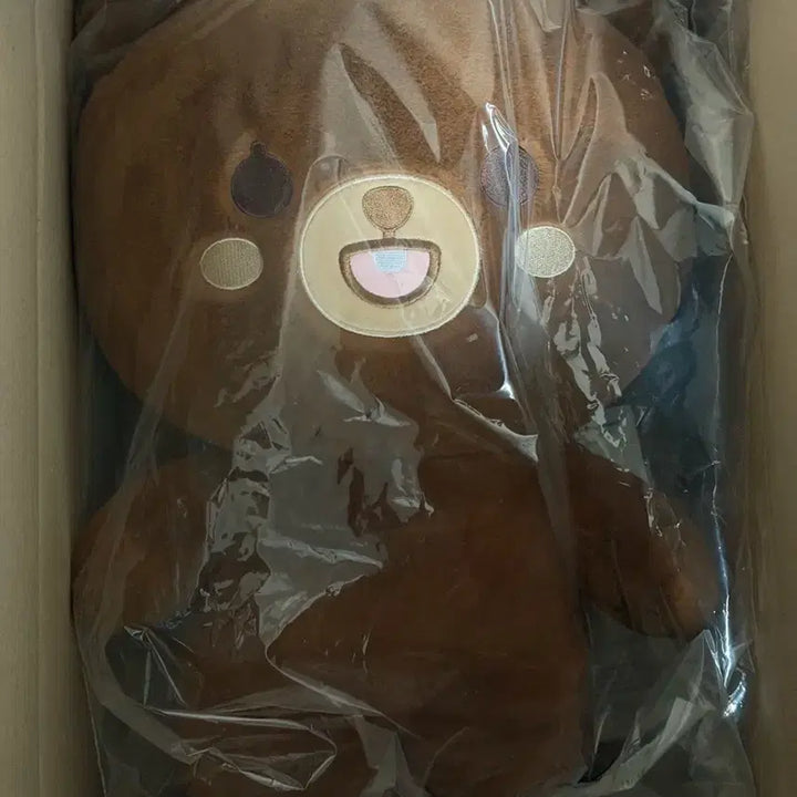 [SOLD OUT] (미개봉) 데이식스 자이언트 쁘멀 자쁘멀 성진 방 양도