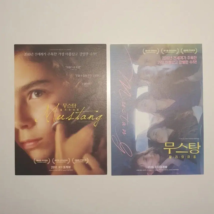 [BUNJANG] 영화 무스탕 Mustang 미니 포스터 2종set / 영화 무스탕 Mustang 미니 포스터 2종set