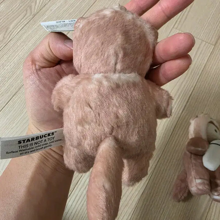[BUNJANG] Starbucks Lovely Otter Bearista Valentine&