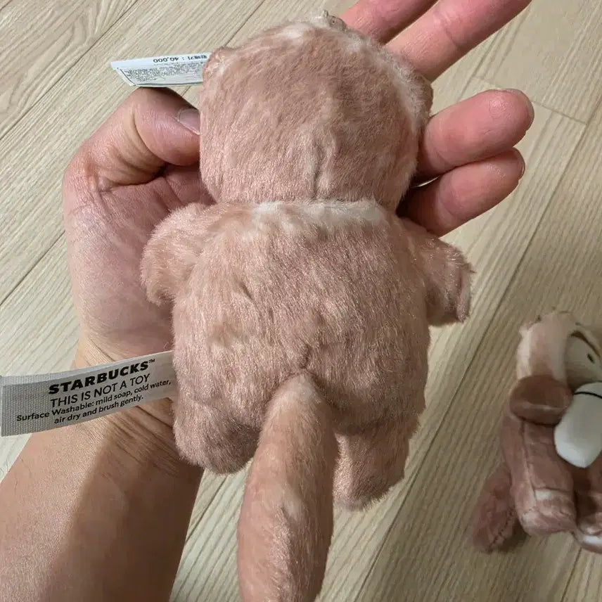 [BUNJANG] Starbucks Lovely Otter Bearista Valentine&