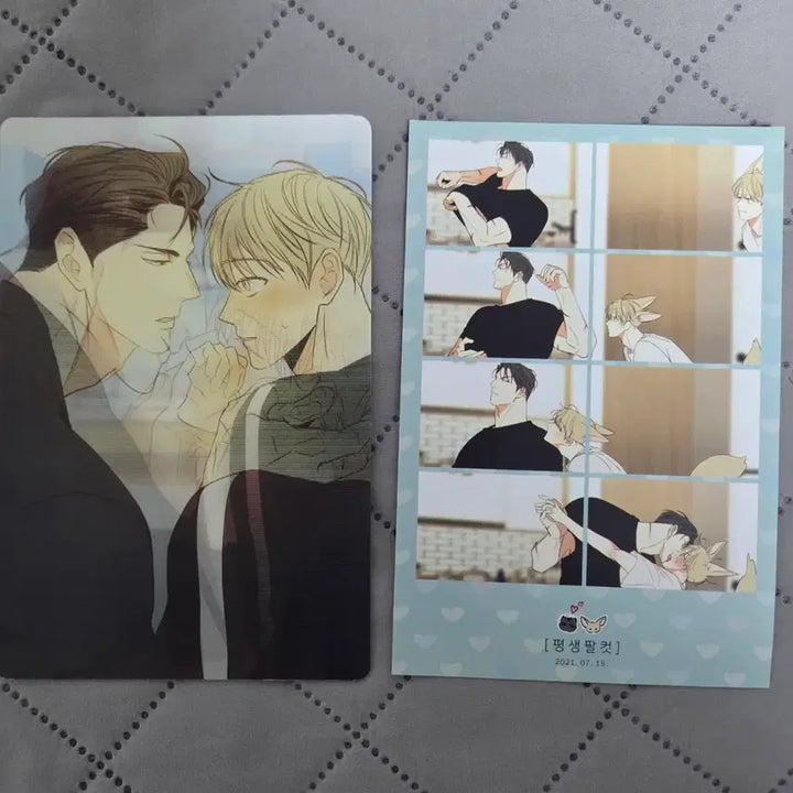 [BUNJANG] Mofun Dangerous Convenience Store Photocard/Poster/Lenticular Set / 모펀 위험한편의점 증명사진/포카/코스터/엽서/렌티큘러