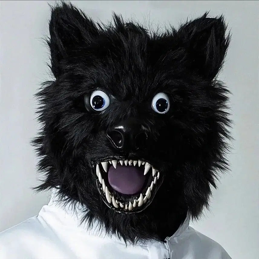 [BUNJANG] Veiisvelsa Animal FKRY CD First Press Sealed / 바이스벌사 animal fkry cd 초판 미개봉