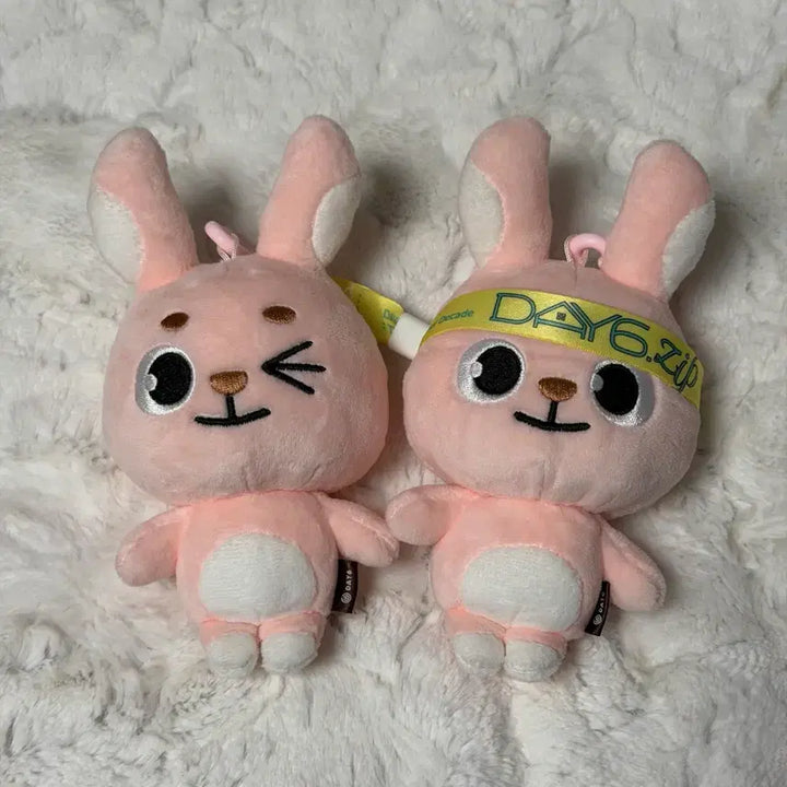 [BUNJANG] Day6 Denimalz Pilki 19 20 Bundle Set / 데이식스 데니멀즈 필끼 19 20 일괄