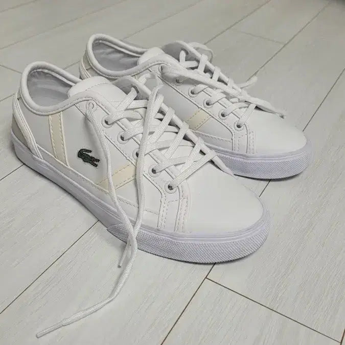 [BUNJANG] Lacoste White Sneakers / 라코스테 흰색 스니커즈 운동화