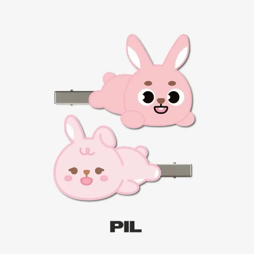 [SOLD OUT] 데이식스 전국투어md 원필 헤어핀 미개봉새상품