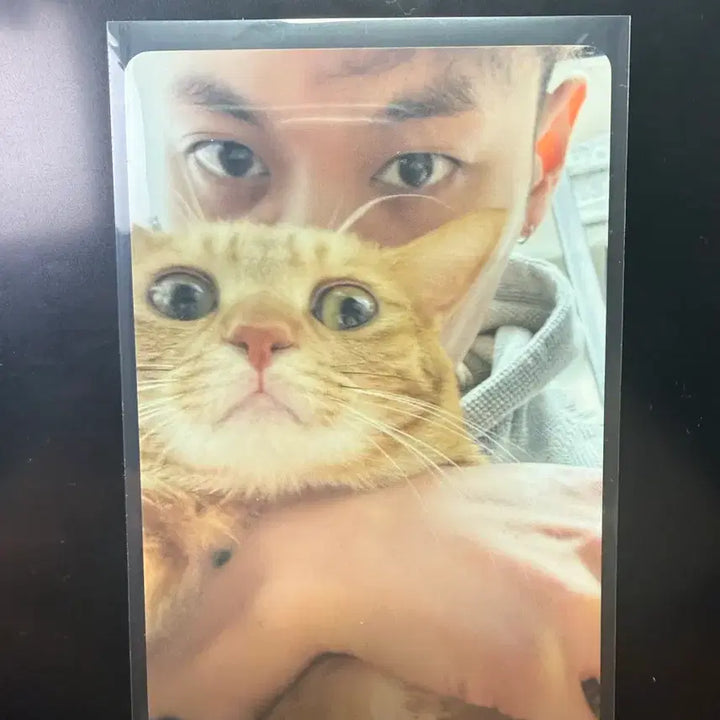 [SOLD OUT] 쇼미12 제네더질라 포토카드 포카