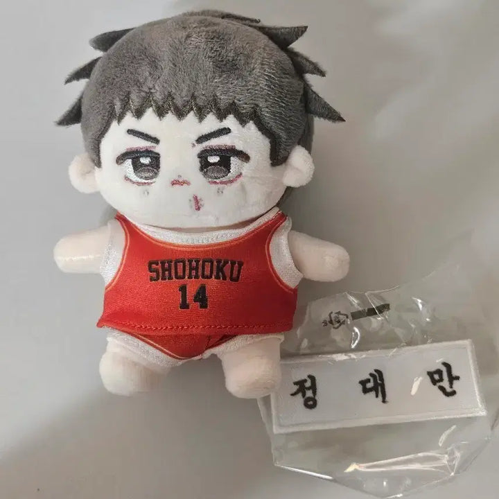 [BUNJANG] Slam Dunk Jung Dae Man Doll / [슬램덩크] 정대만 누이