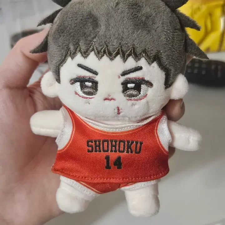 [BUNJANG] Slam Dunk Jung Dae Man Doll / [슬램덩크] 정대만 누이