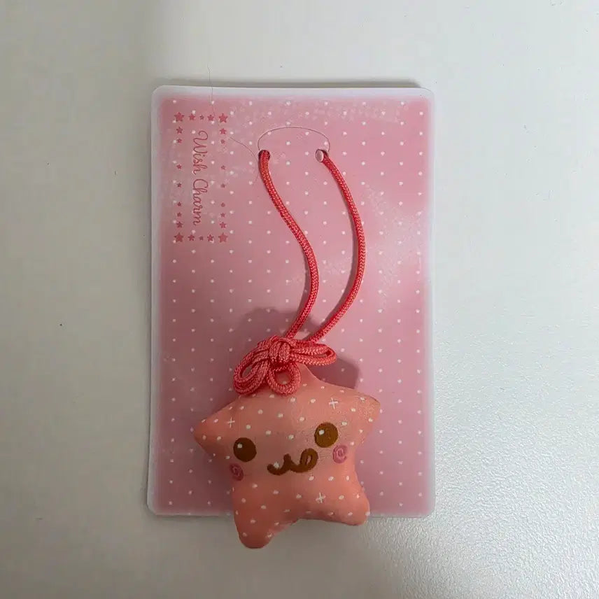 [BUNJANG] RIIZE Concert MD Goods / 리쿠 참 아워위시 콘서트 md 굿즈
