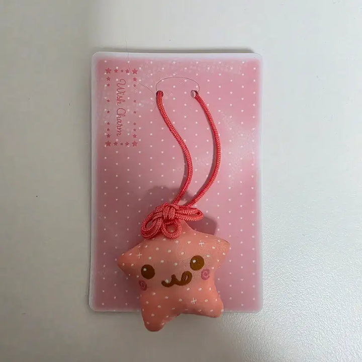 [BUNJANG] RIIZE Concert MD Goods / 리쿠 참 아워위시 콘서트 md 굿즈