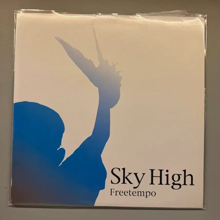 [BUNJANG] Freetempo Sky High LP / LP 프리템포 FREETEMPO 스카이하이 판매 합니다
