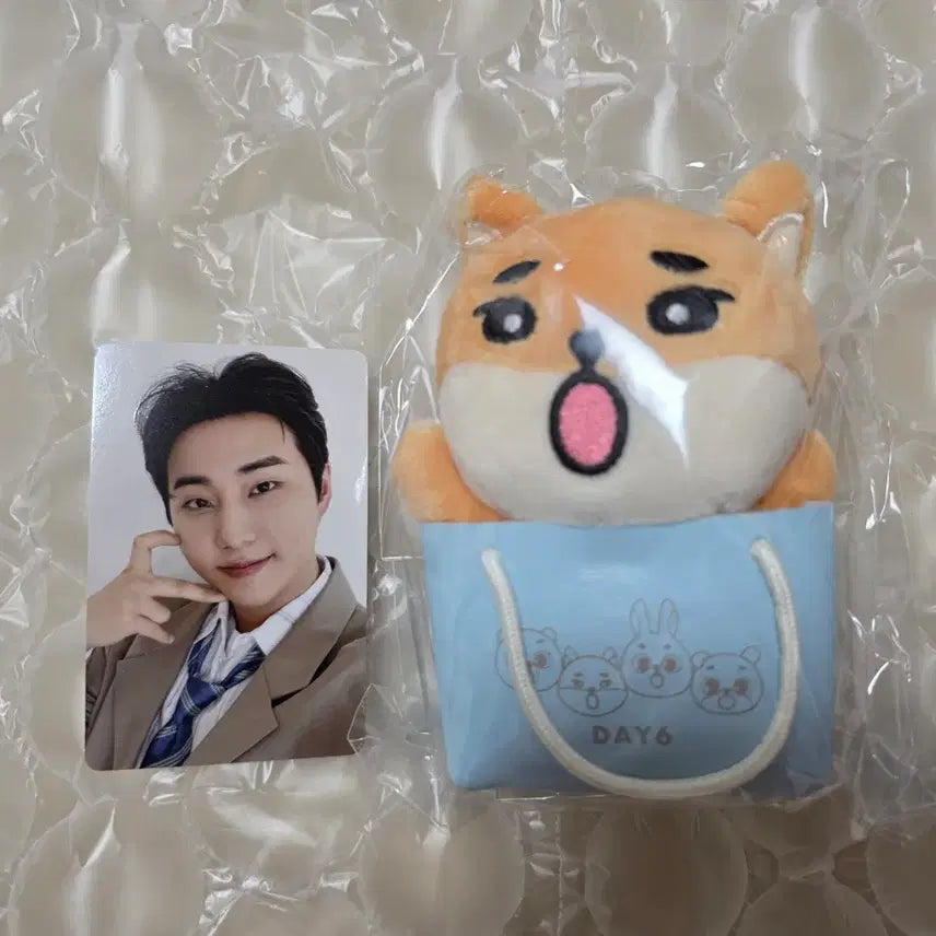 [SOLD OUT] 데이식스 일본 케 백참 영케이 포카 일괄