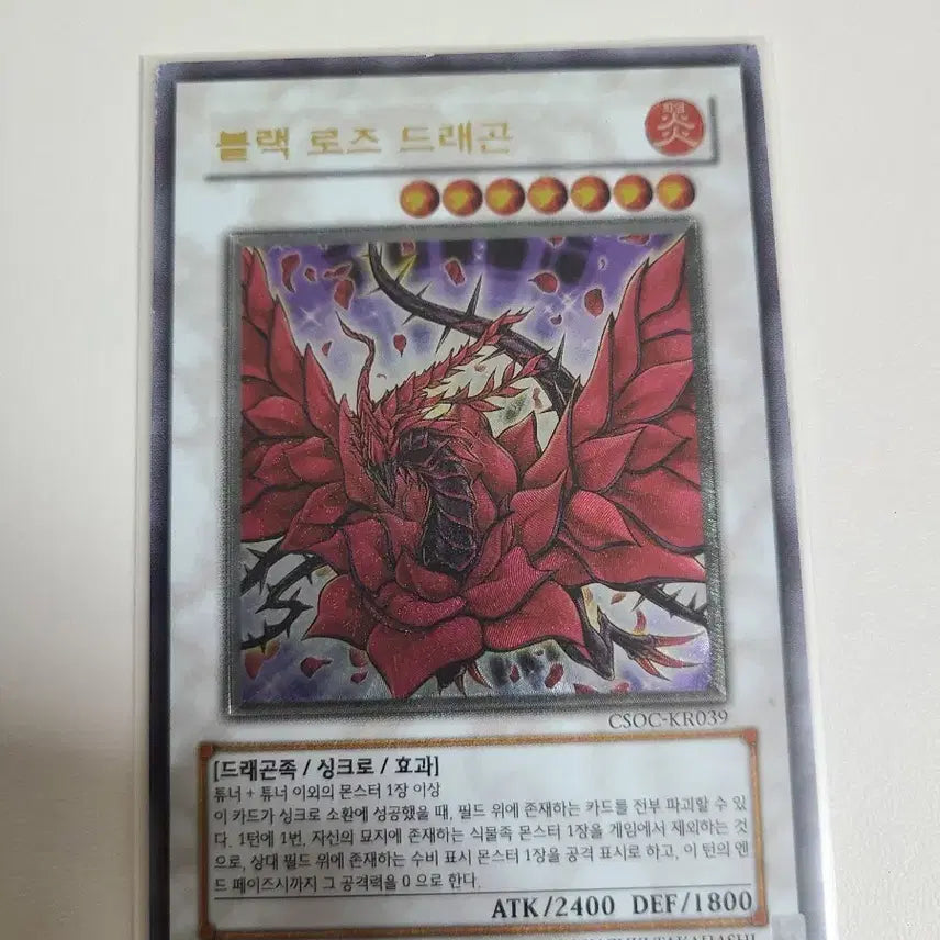 [SOLD OUT] 유희왕 블랙 로즈 드래곤 한판 얼티