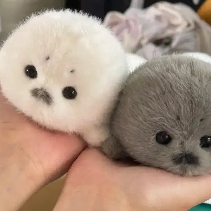 [SOLD OUT] RIRI님 수제 12cm 하프물범 인형 마스코트