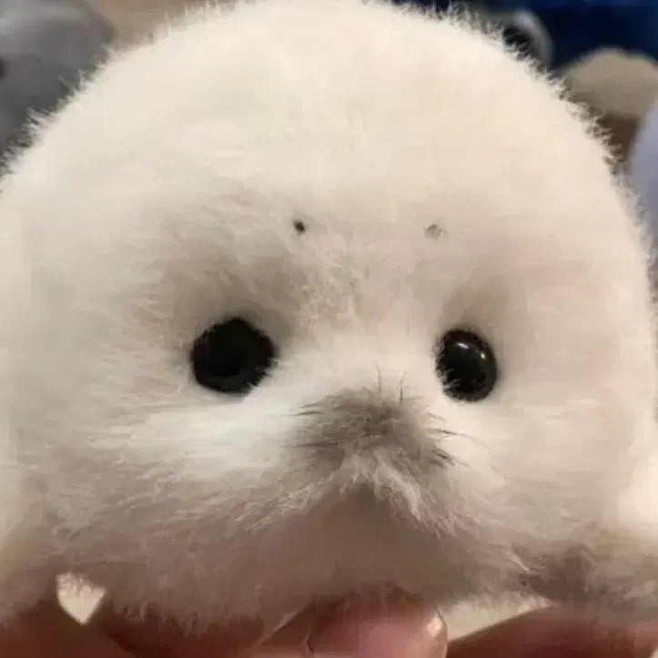 [SOLD OUT] RIRI님 수제 12cm 하프물범 인형 마스코트