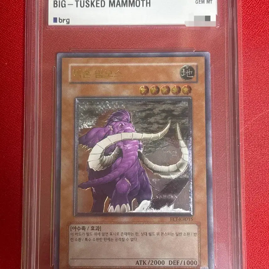 [BUNJANG] Yu-Gi-Oh! Big Horn Mammoth FET-KR015 GEM MT 10 / 유희왕 빅혼 맘모스 FET-KR015 GEM MT 10