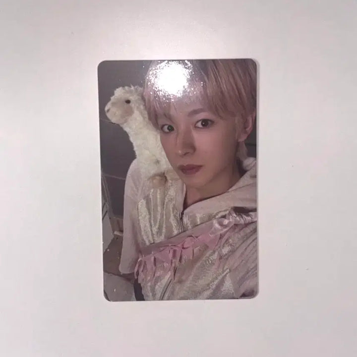 [SOLD OUT] 엔시티위시 유우시 스미니 포카 양도 판매