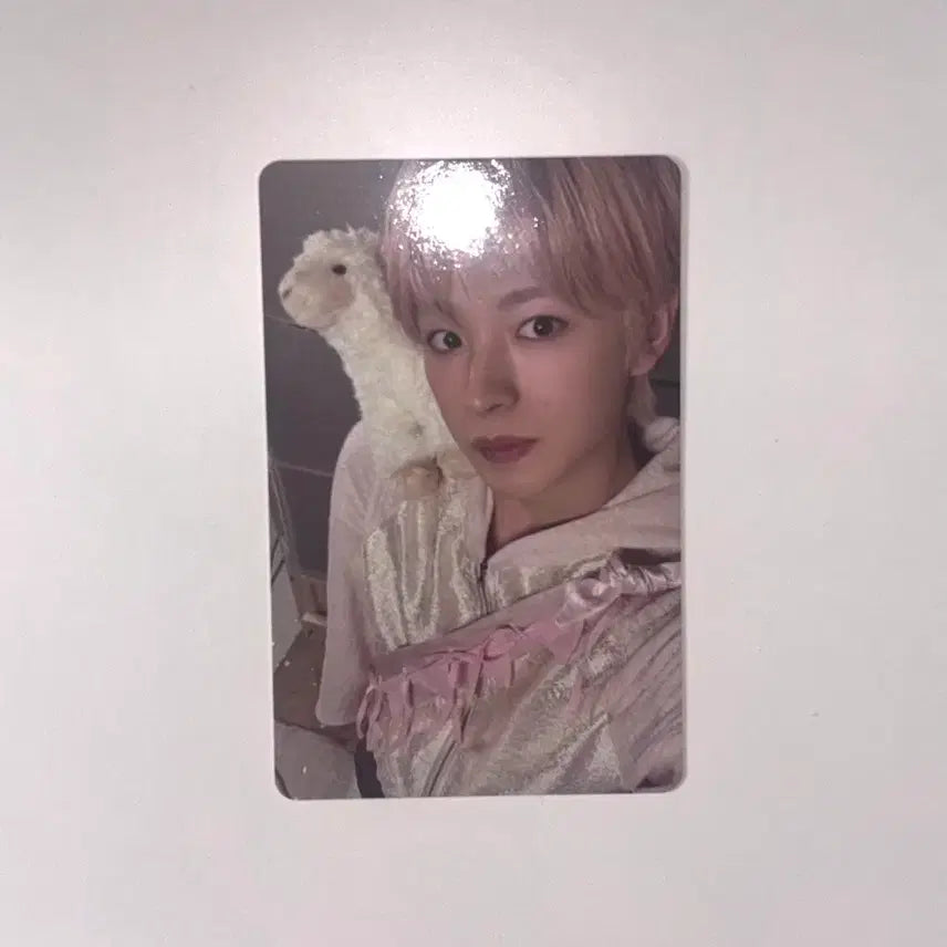 [SOLD OUT] 엔시티위시 유우시 스미니 포카 양도 판매