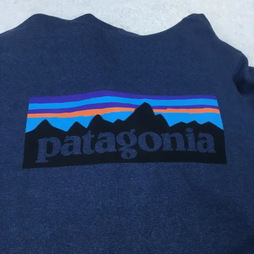 [BUNJANG] Patagonia Back Logo Hooded Zip-up / 파타고니아 백로고 후드집업 DD21