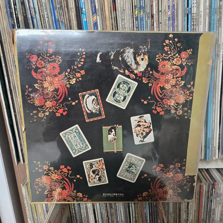 [BUNJANG] Three Dog Night LP Record / 쓰리독나이트 Three Dog Night LP판